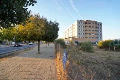 Mairena del Aljarafe adjudica las obras de la primera promoción de VPO de su nuevo plan de vivienda
