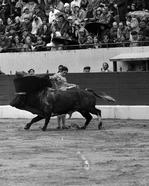 Paco Camino