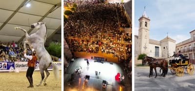 La Pará de Gines supera las 85.000 visitas en su edición 2026