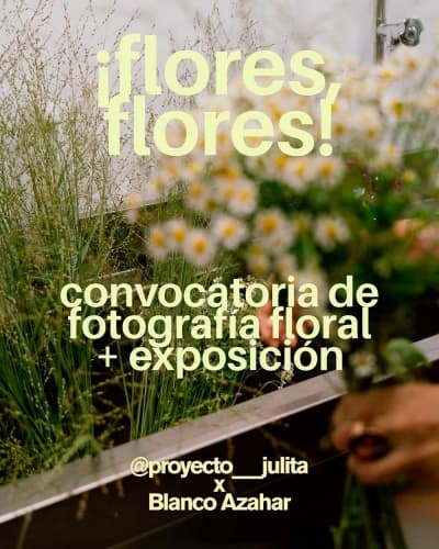 Concurso fotográfico &lsquo;¡Flores, flores!&rsquo; hasta el 2 de noviembre