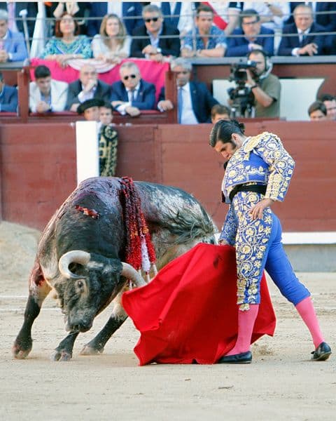 Morante de la Puebla