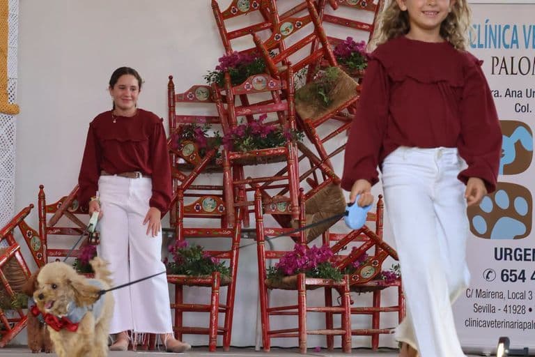 La IV Feria de la Moda y Belleza continúa en Palomares del Río con el turno de tarde