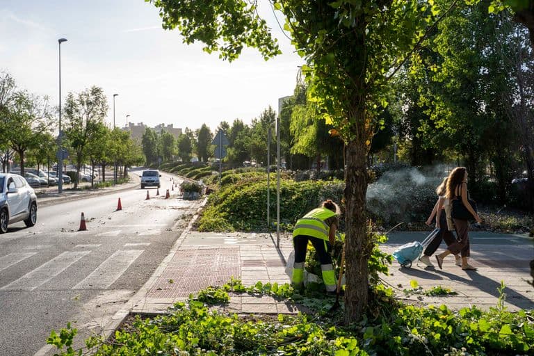 Mairena del Aljarafe refuerza su servicio de jardinería con 2,05 millones de euros y