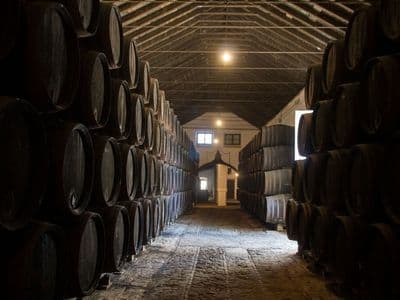 Bodegas Góngora