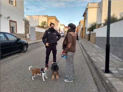 Albaida del Aljarafe inicia una campaña de vigilancia contra los excrementos de animales