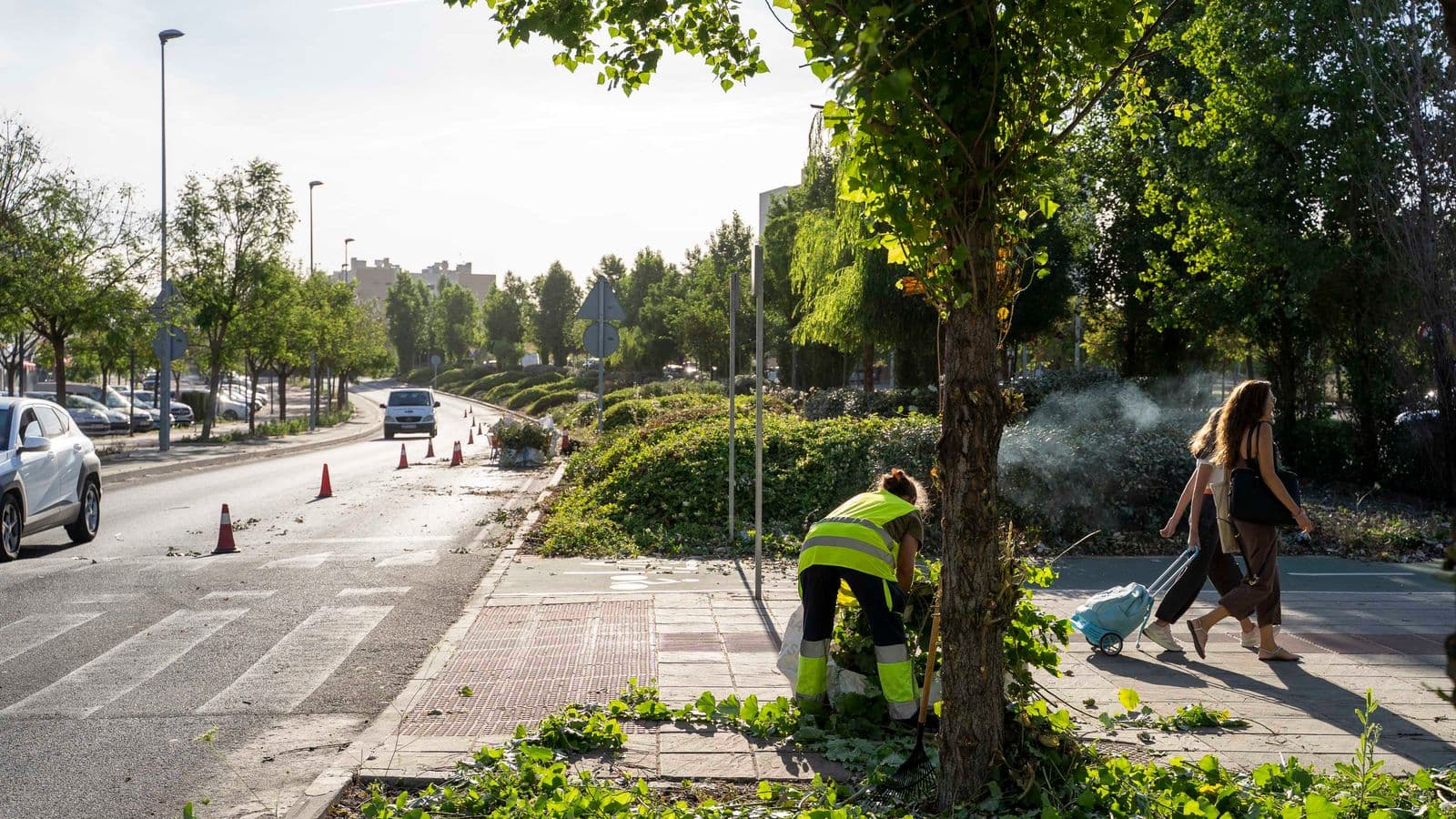 Mairena del Aljarafe refuerza su servicio de jardinería con 2,05 millones de euros y