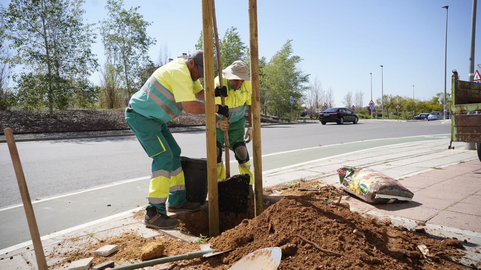Mairena del Aljarafe adjudica la renovación de sus alcorques por 410.000 euros